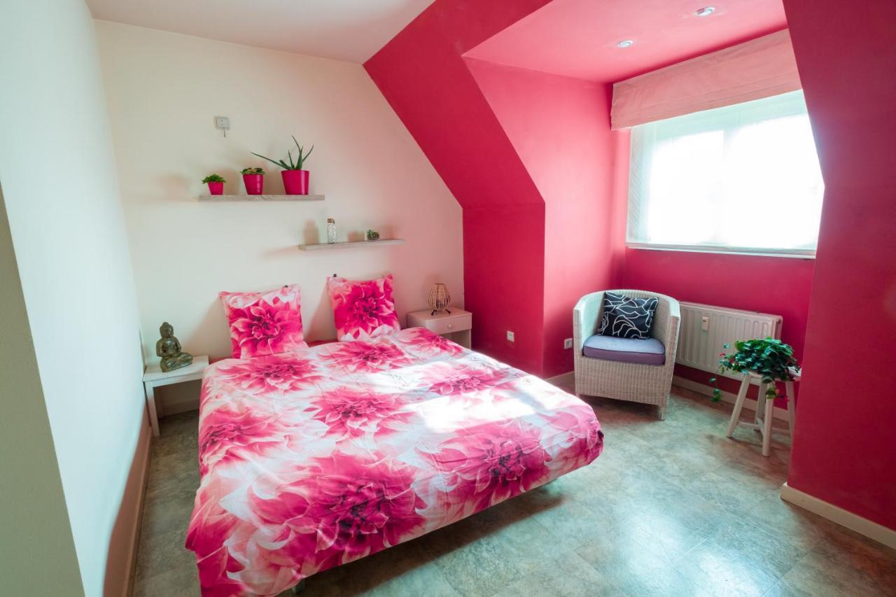 Shamballa B & B/ Logies Deinze Zewnętrze zdjęcie